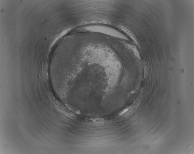 X0000074040395200609111744