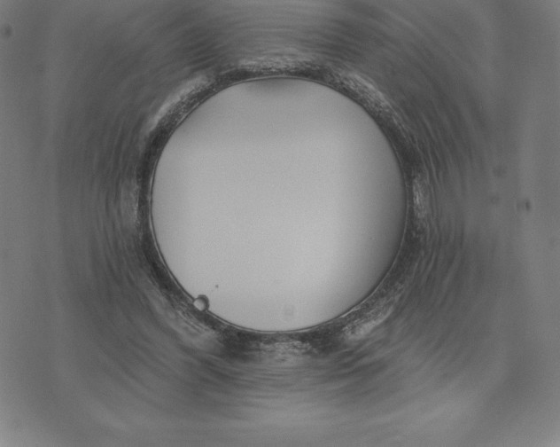 X0000074040396200609111744