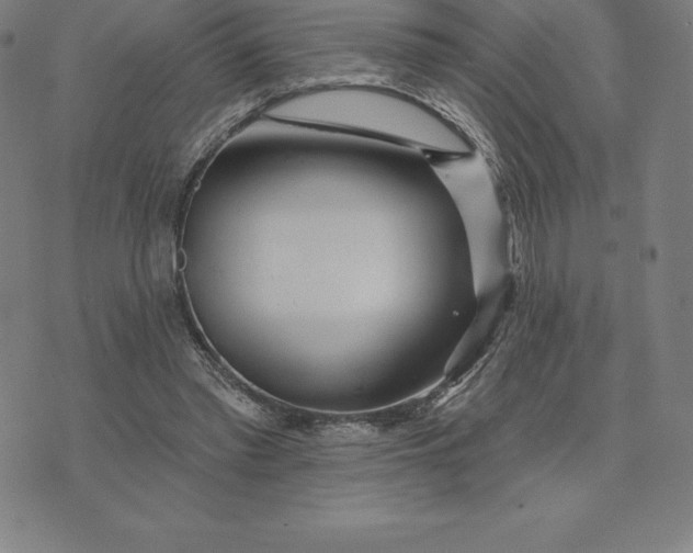 X0000074040397200609111744