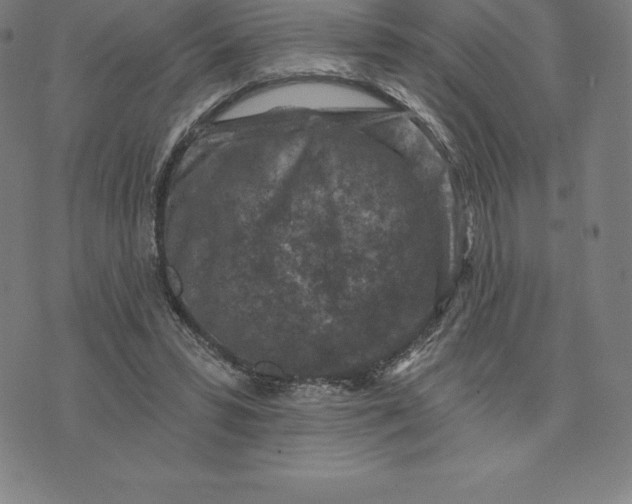 X0000074040399200609111744