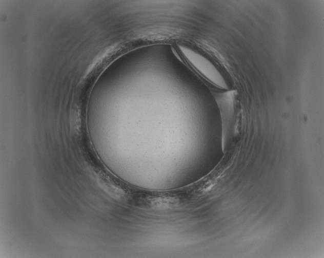 X0000074040400200609111744