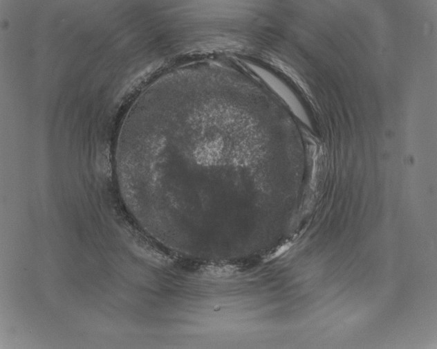 X0000074040403200609111744