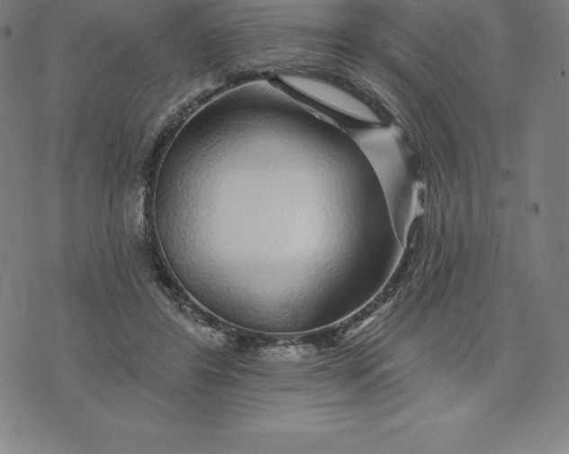 X0000074040404200609111744