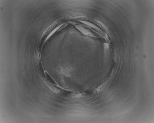 X0000074040405200609111744