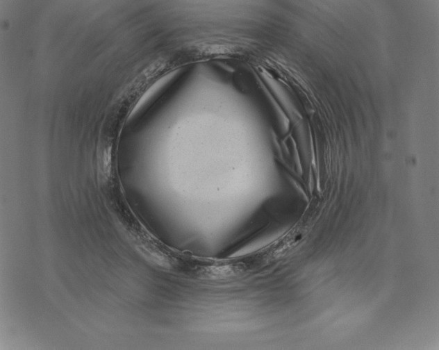 X0000074040406200609111744