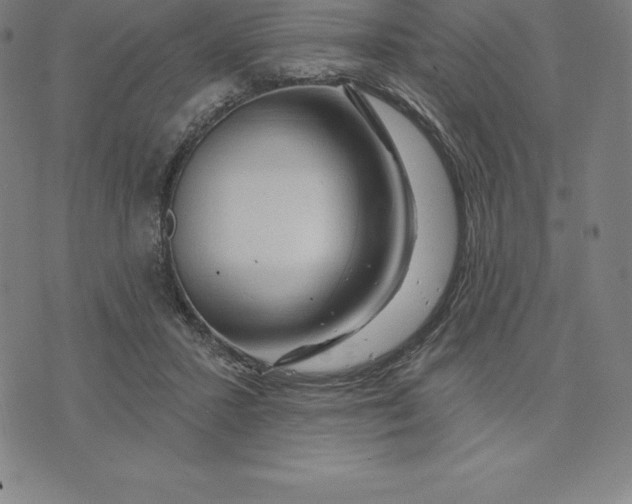 X0000074040407200609111744