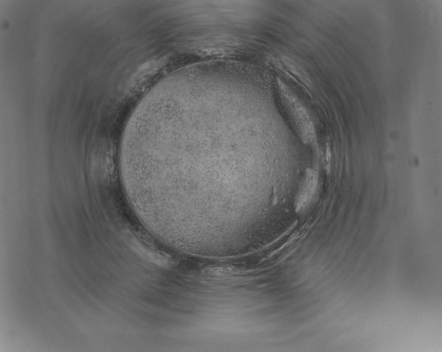 X0000074040408200609111744