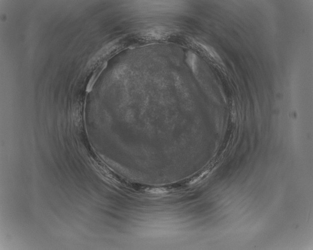 X0000074040409200609111744