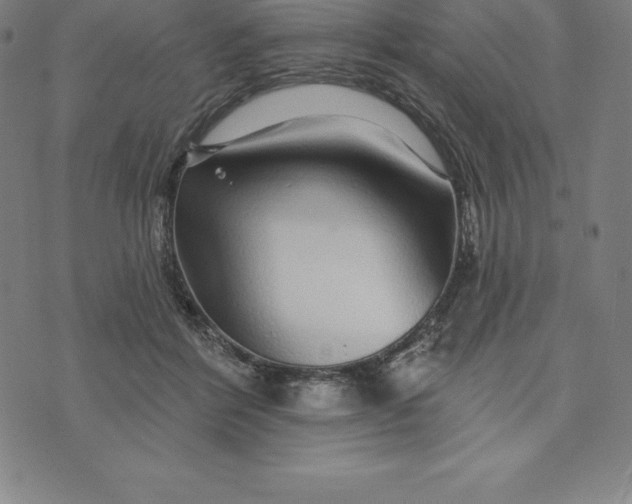 X0000074040412200609111744