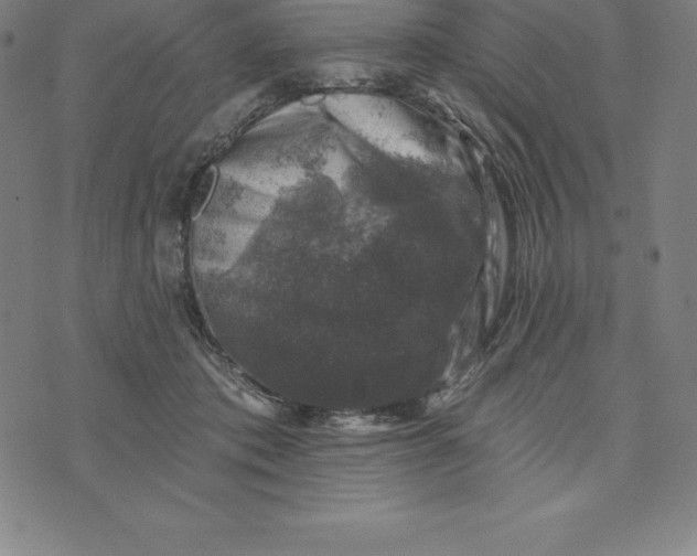 X0000074040413200609111744