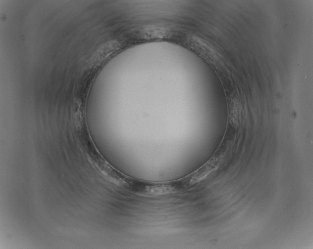 X0000074040414200609111744