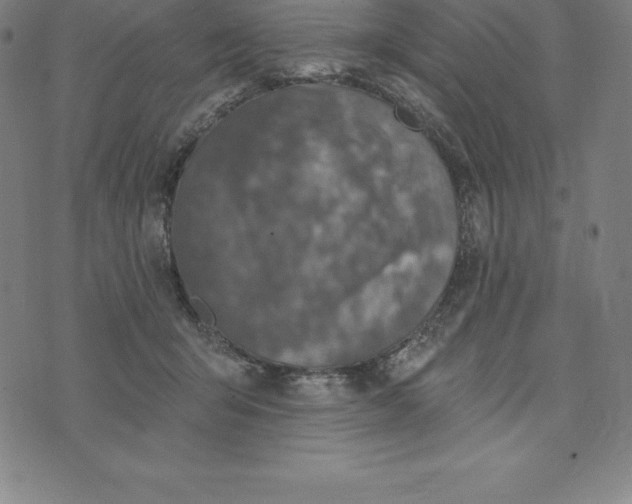 X0000074040415200609111744