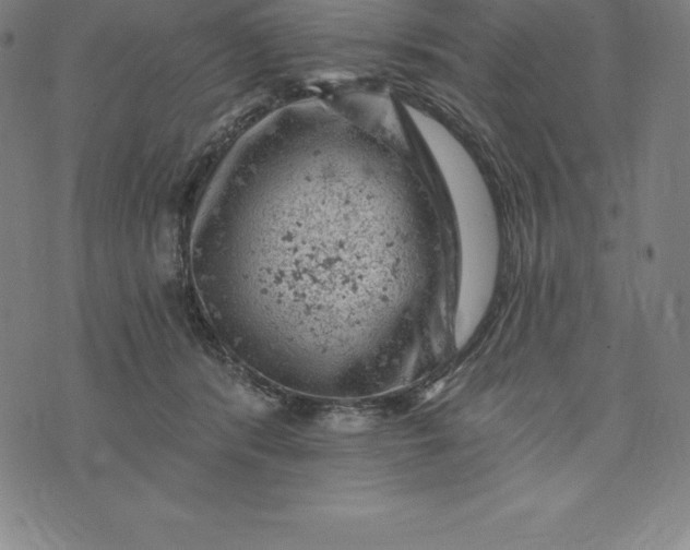 X0000074040416200609111744