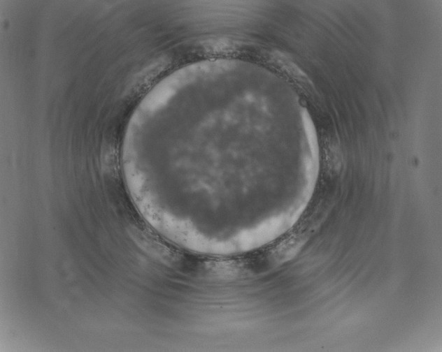 X0000074040419200609111744