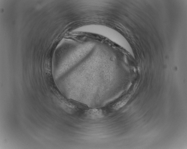 X0000074040421200609111744