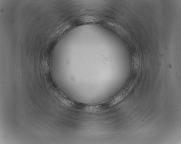 X0000074040422200609111744