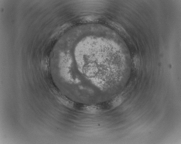 X0000074040423200609111744