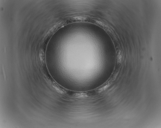 X0000074040424200609111744