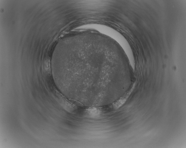 X0000074040425200609111744