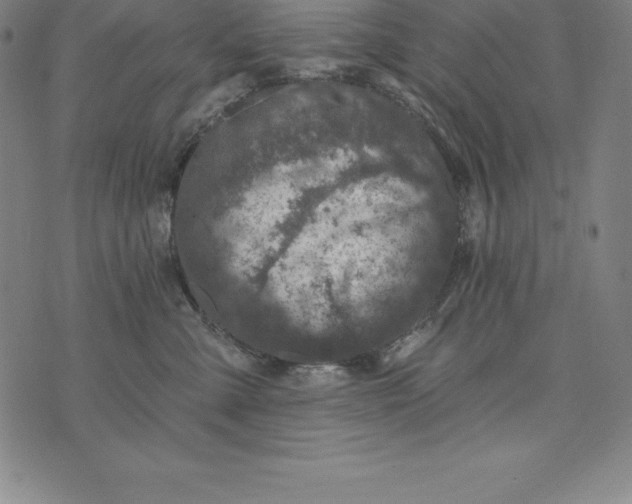 X0000074040427200609111744