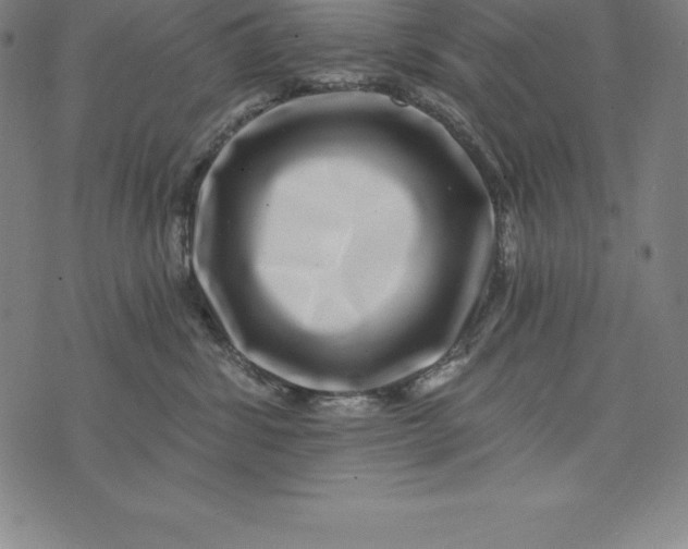 X0000074040428200609111744