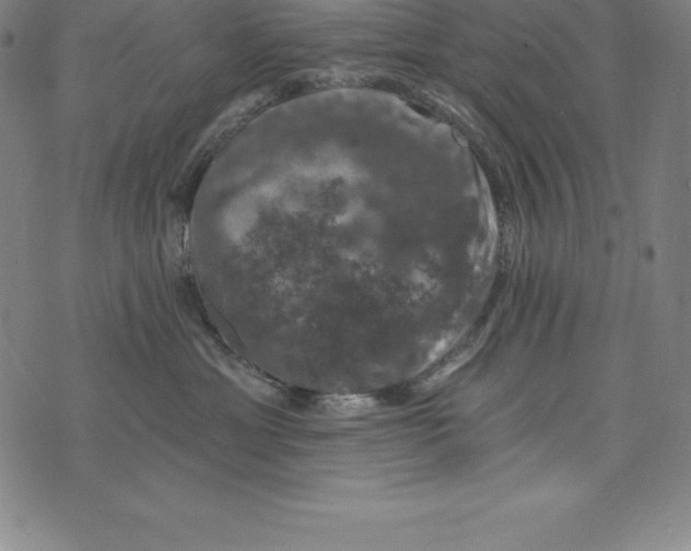 X0000074040429200609111744