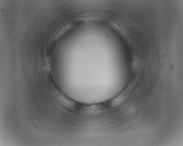 X0000074040430200609111744