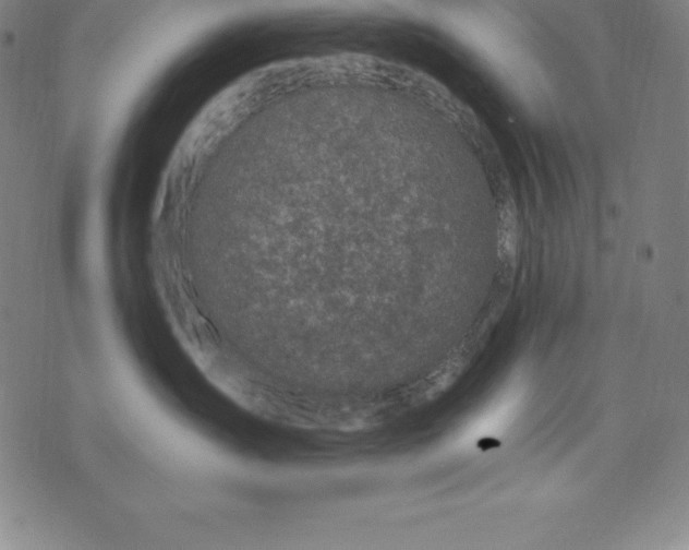 X0000074040431200609111744