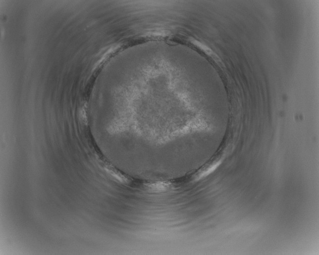 X0000074040432200609111744