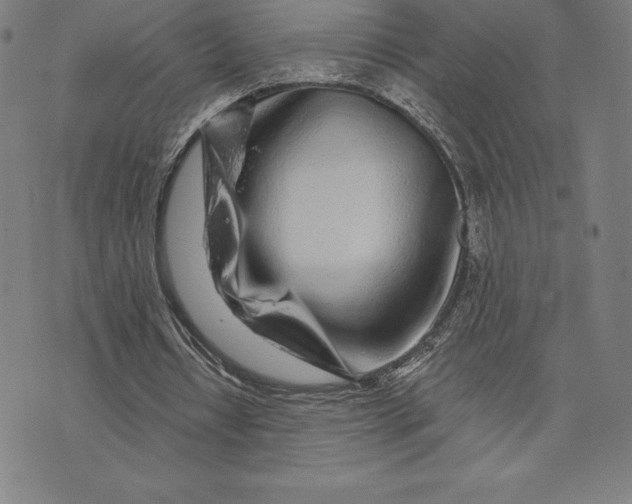 X0000074040434200609111743