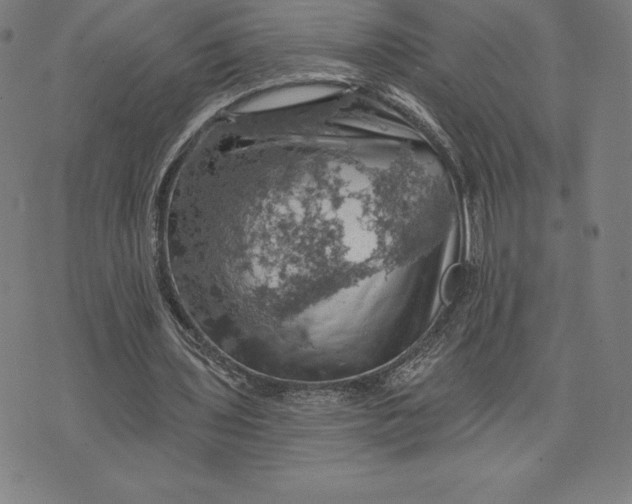 X0000074040435200609111743