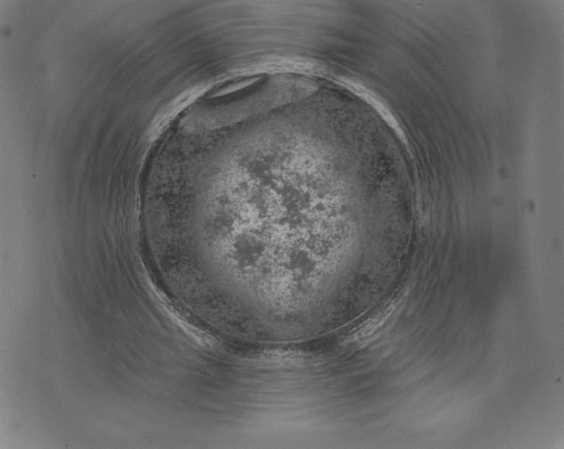 X0000074040437200609111743