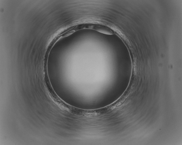 X0000074040438200609111743