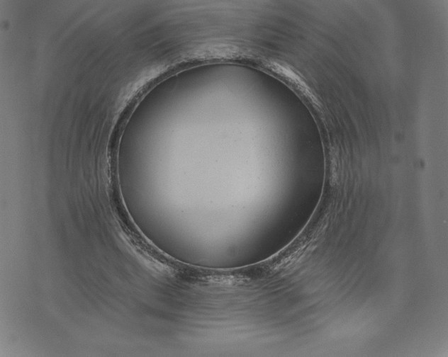 X0000074040439200609111743