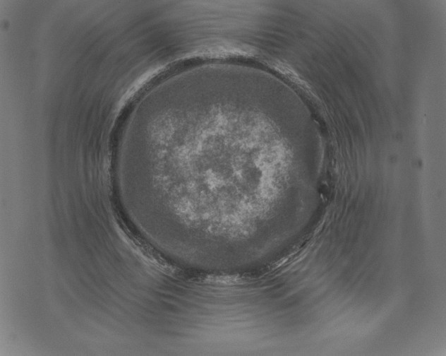 X0000074040440200609111743