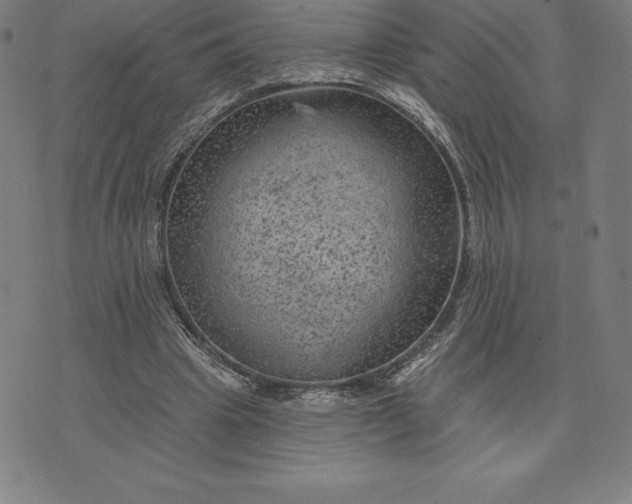 X0000074040441200609111743