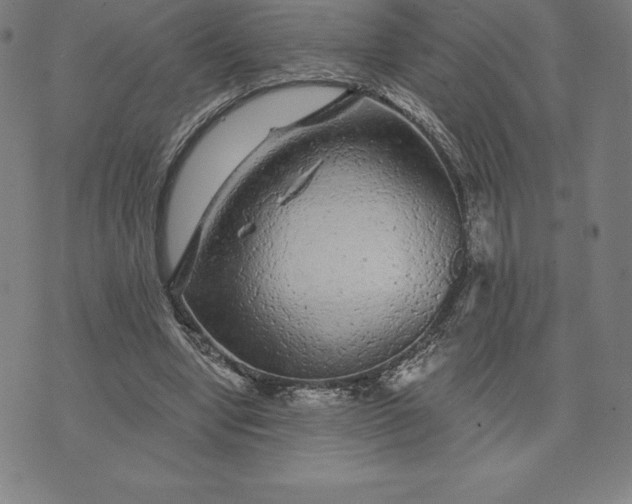 X0000074040442200609111743