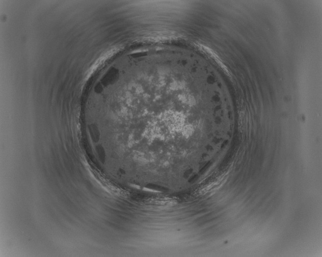 X0000074040443200609111743