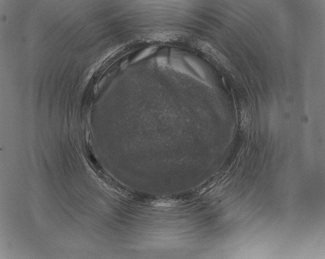 X0000074040444200609111743