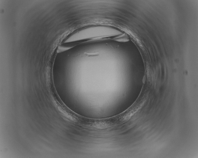 X0000074040445200609111743