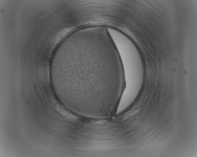 X0000074040446200609111743