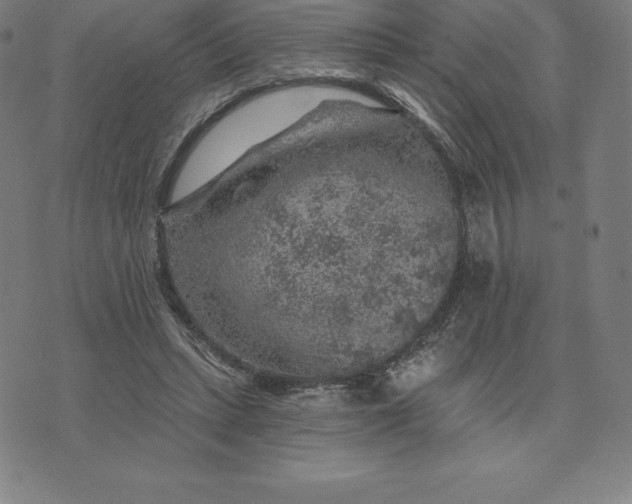 X0000074040447200609111743