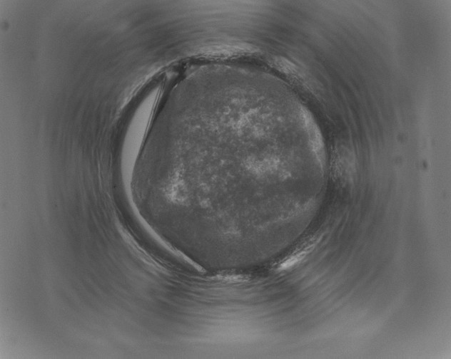 X0000074040448200609111743