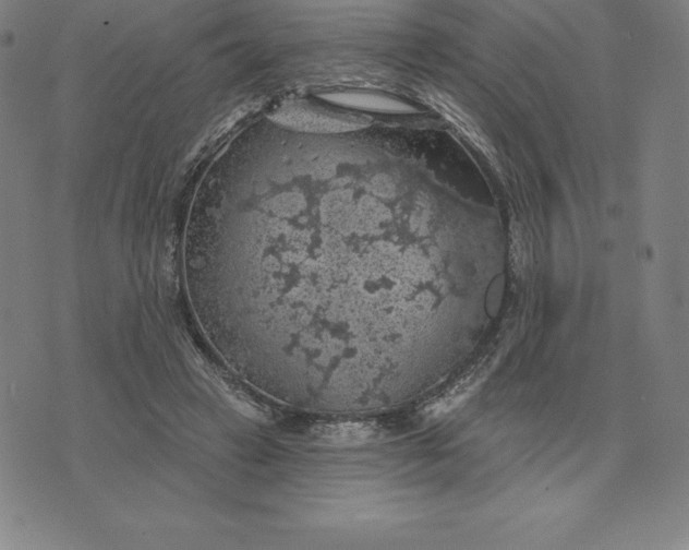 X0000074040449200609111743