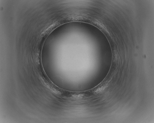 X0000074040450200609111743