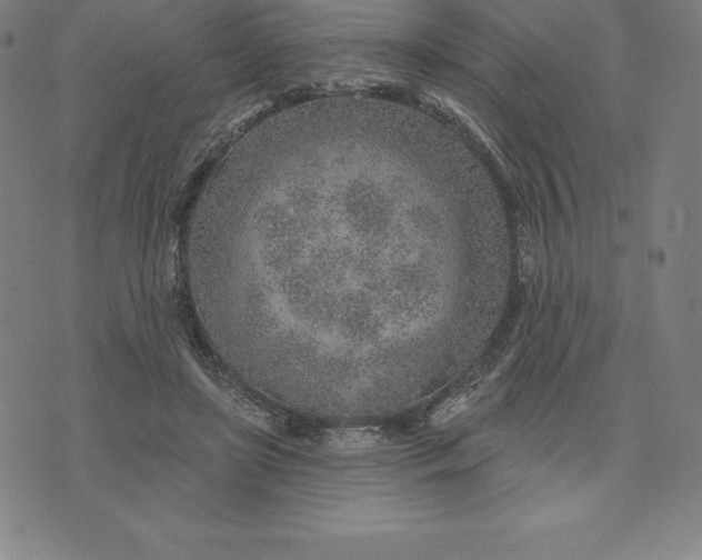 X0000074040451200609111743