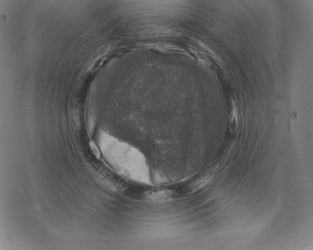 X0000074040452200609111743