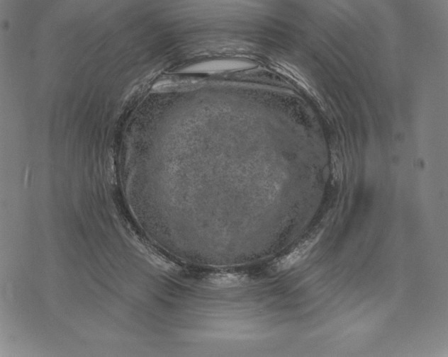 X0000074040453200609111743