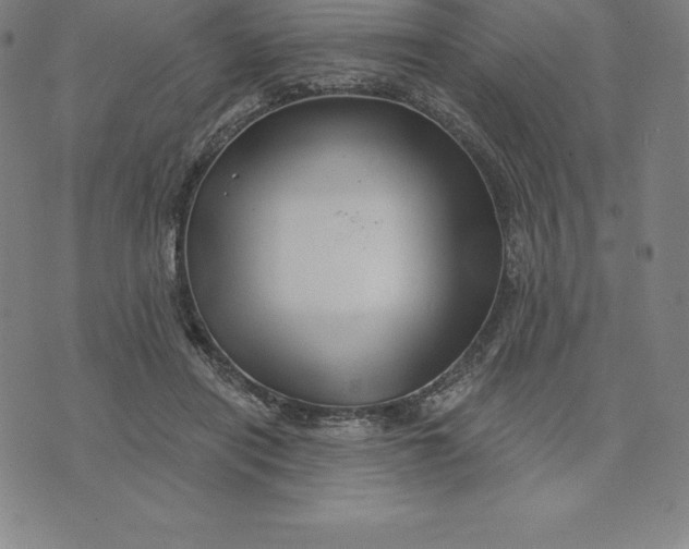 X0000074040454200609111743