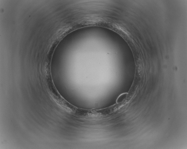 X0000074040455200609111743